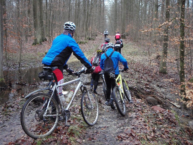 Waldtour 042